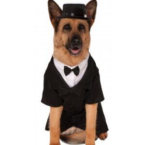 Big Dog Dapper Groom XXL Rubies Pet Shop Costume 2X